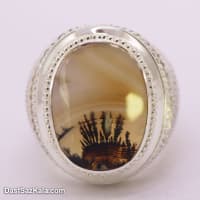 انگشتر شجر اصل مردانه با رکاب حصیری شیخ احمد زنجان کد RN-43